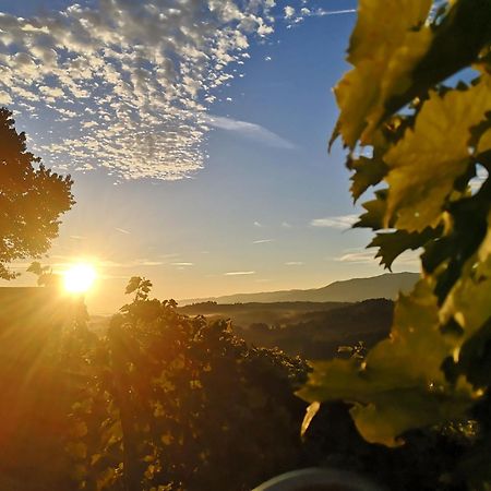 Peiserhof Ferien.Wein.Gut Suedsteiermark Wies المظهر الخارجي الصورة